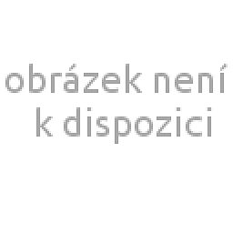 Obrázek pro produkt Knoflíková kanyla 1,0 x 80 mm, zahnutá, B, LL, 50ks