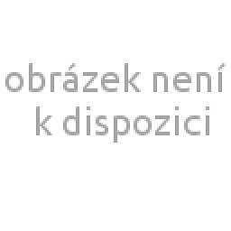 Obrázek pro produkt Polypektomická klička oválná 32 mm; 2,4 × 2300 mm